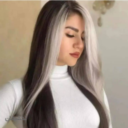 مش فویلی