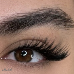 خدمات تخصصی مژه و ابرو 