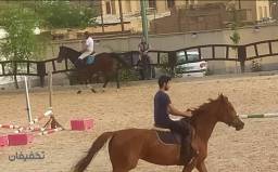 یک جلسه سوارکاری تفریحی در باشگاه سوارکاری غزالی بهار1405