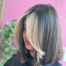 فیس فریم