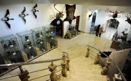 بازدید از حیات وحش دارآباد ویژه خرداد 1405