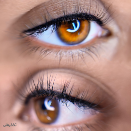 بن مژه