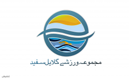 استخر مجموعه ورزشی گلایل سفید