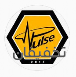 مدرسه فوتبال دائمی پالس