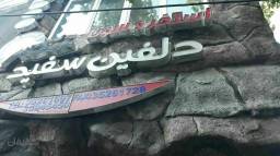 استخر دلفین سفید