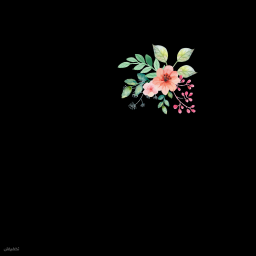 دونه دونه