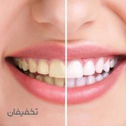  دكتر سارا ميرأبا