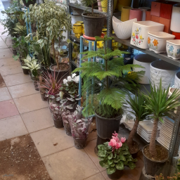 گل فروشی مهستان