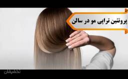 پروتئین ترابی مو کوتاه