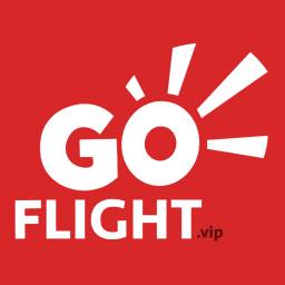 گو فلایت GoFlight
