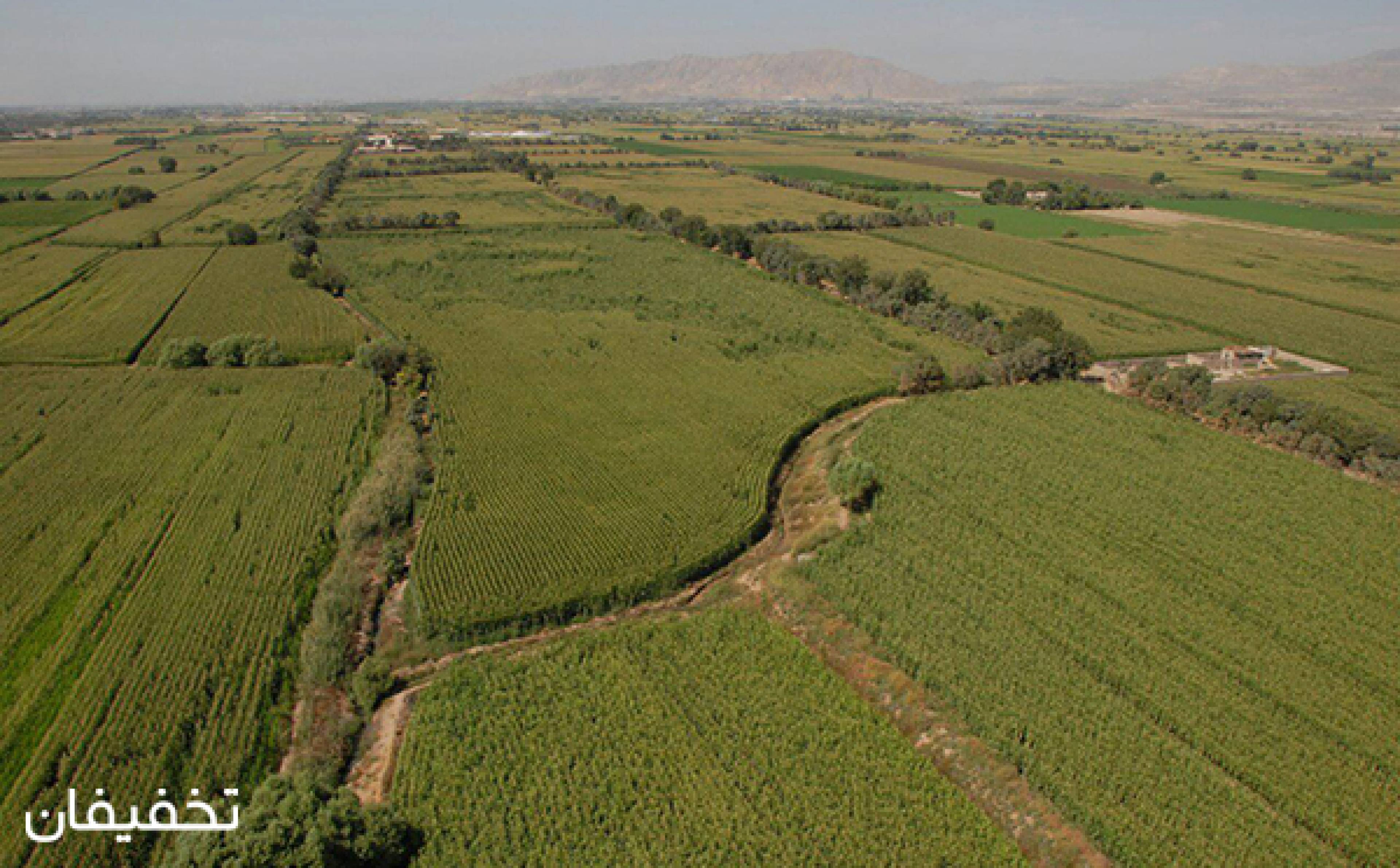 مجموعه بالن سواری ابا