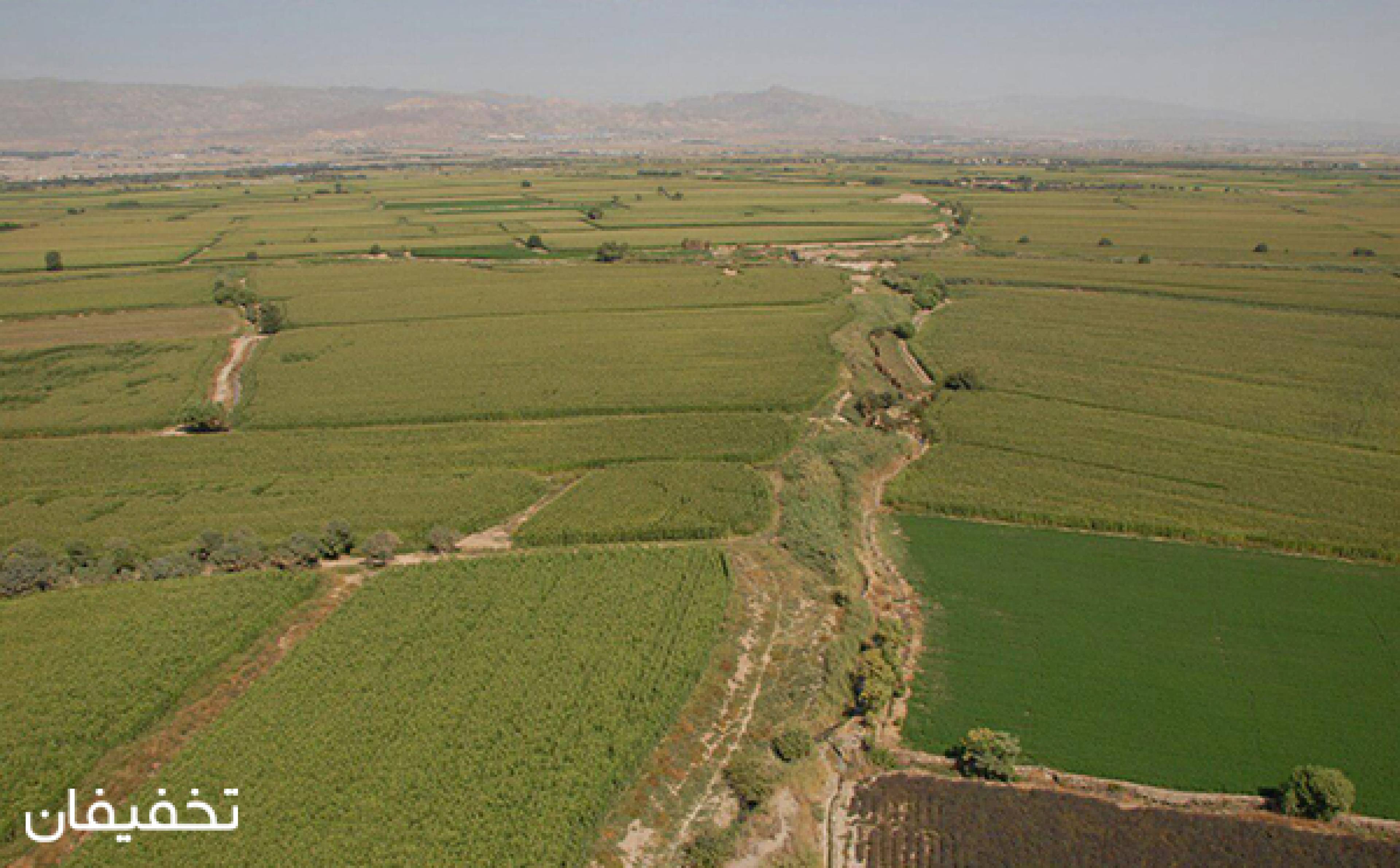 مجموعه بالن سواری ابا
