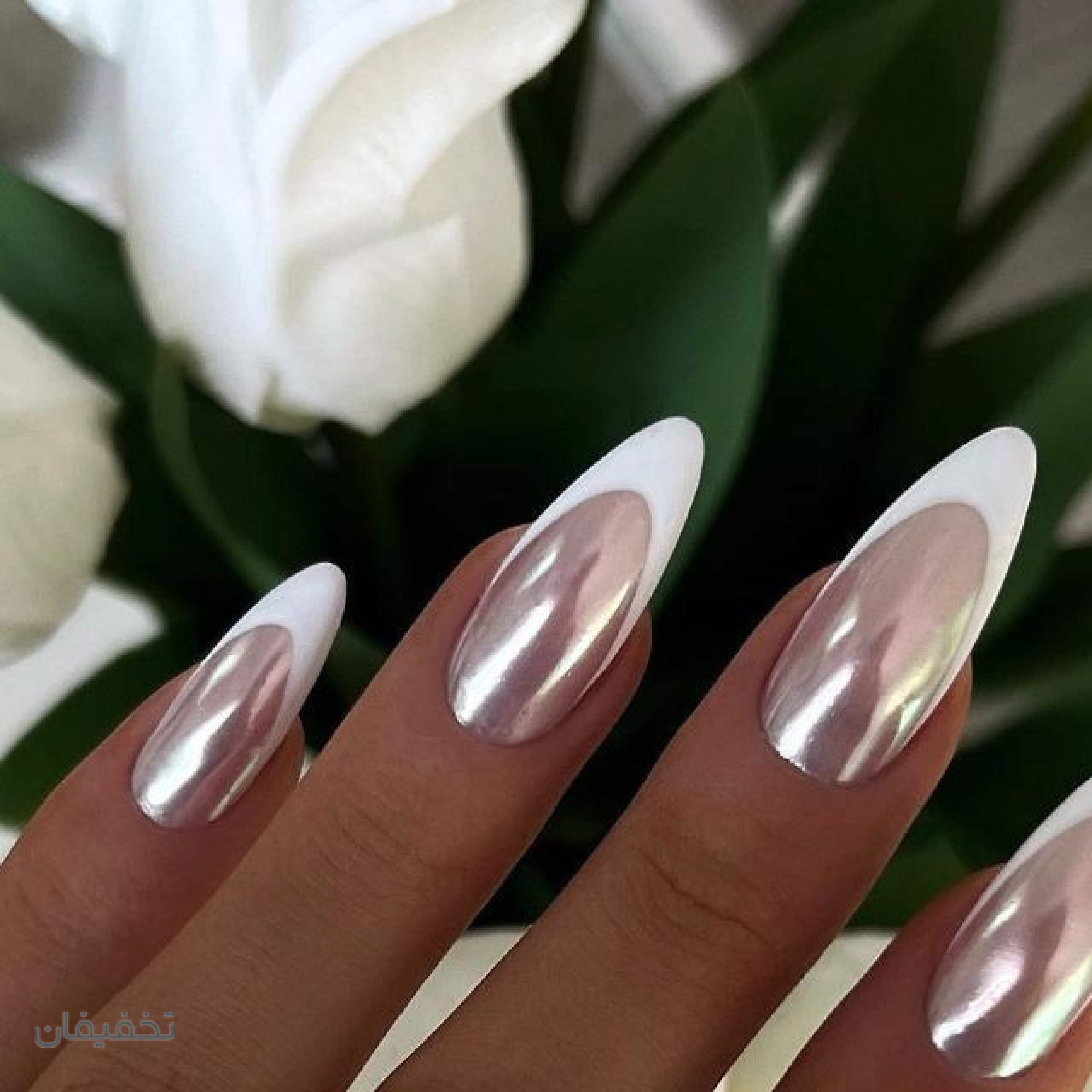 سالن زیبایی و آموزشگاه فنی حرفه ای بنیتا