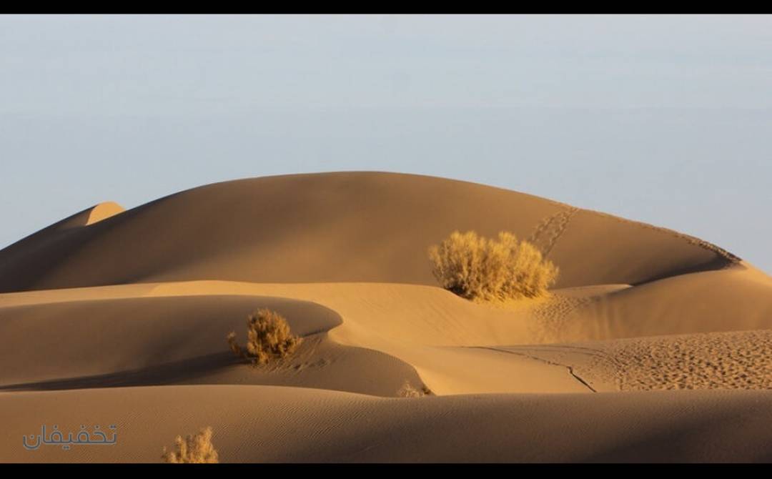 تور ۲.۵ روز کویر مصر آژانس مسافرتی پا به پا سفر