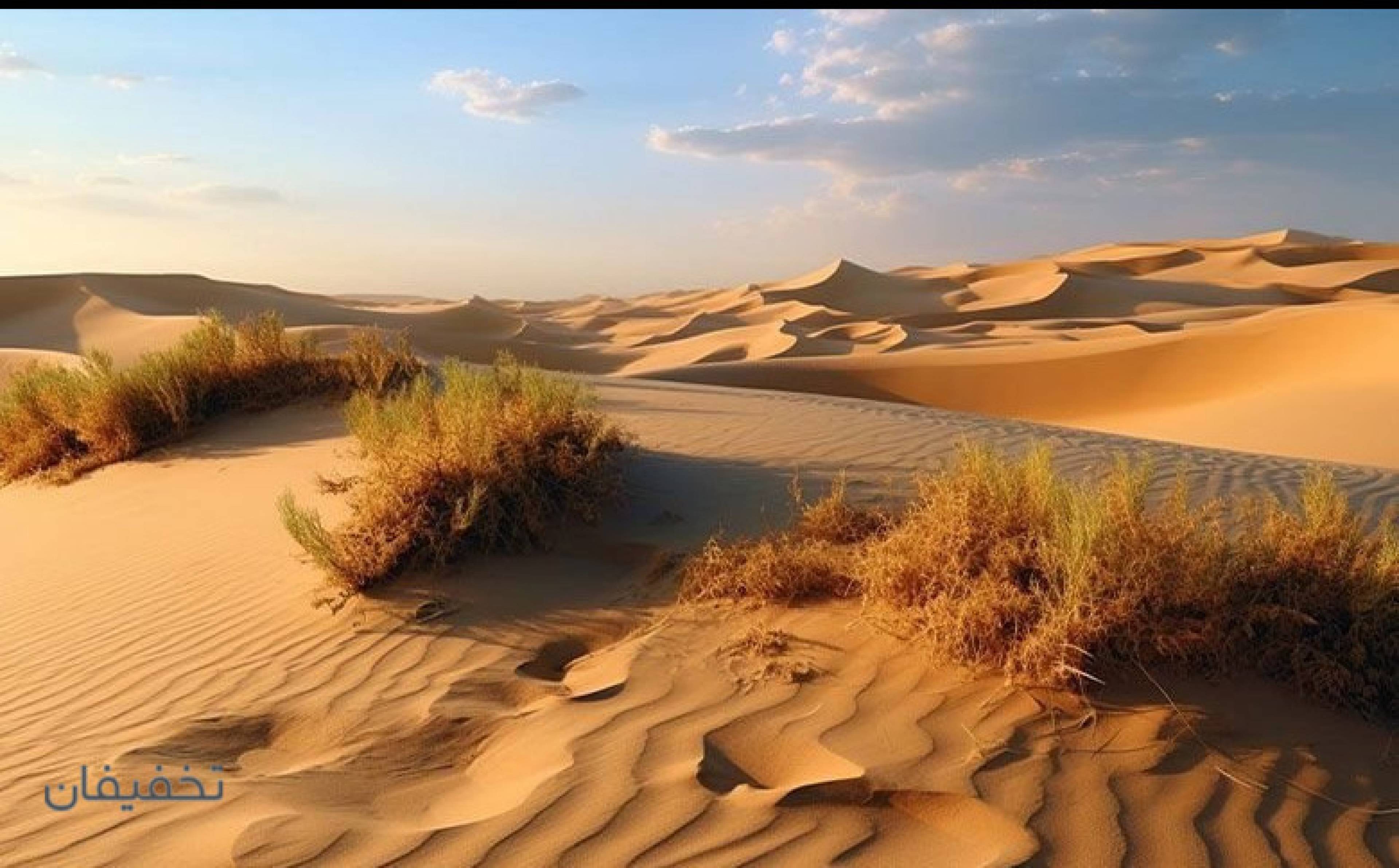 تور کویر بکر مرنجاب آژانس مسافرتی سیاحت ماندگار
