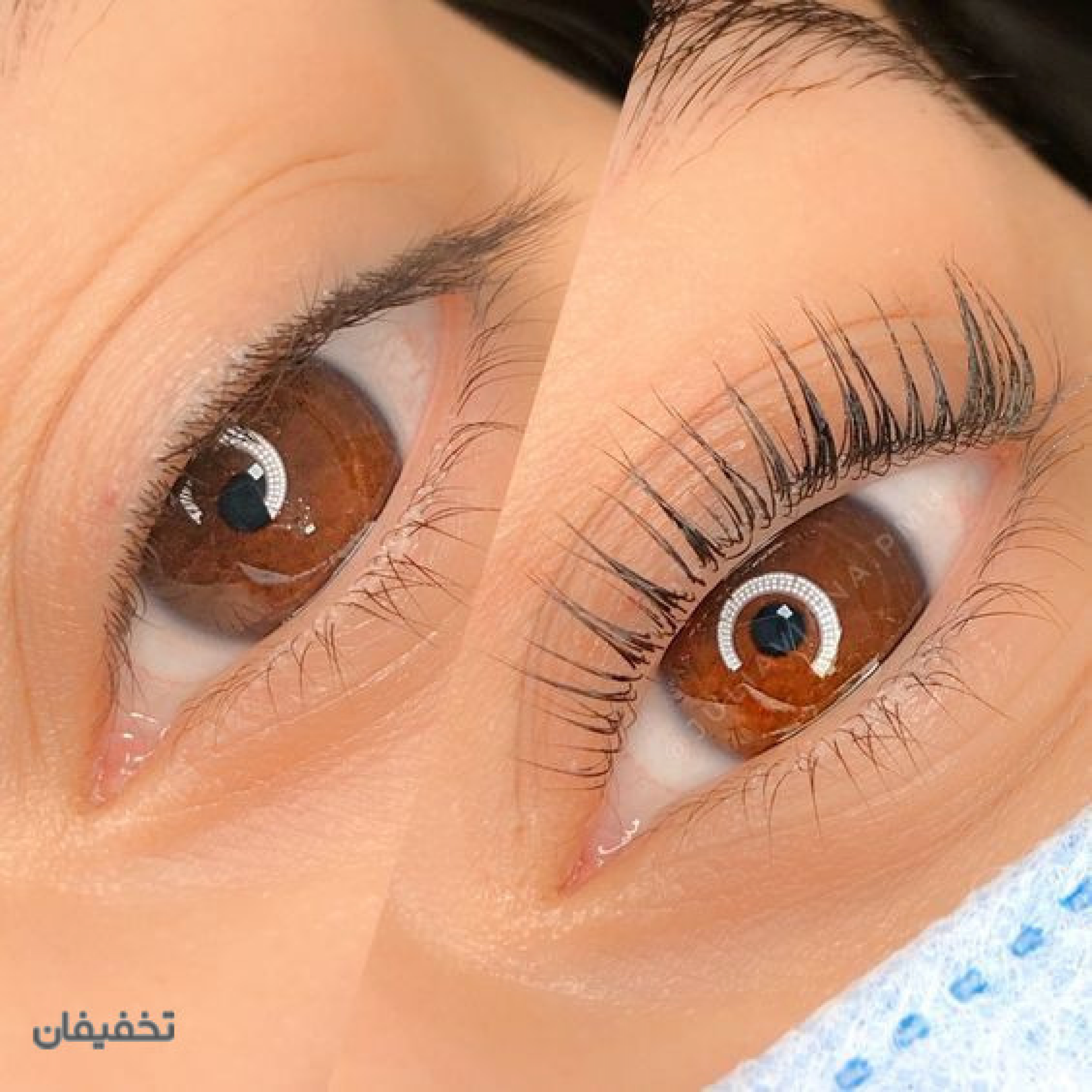 آکادمی مژه سیب