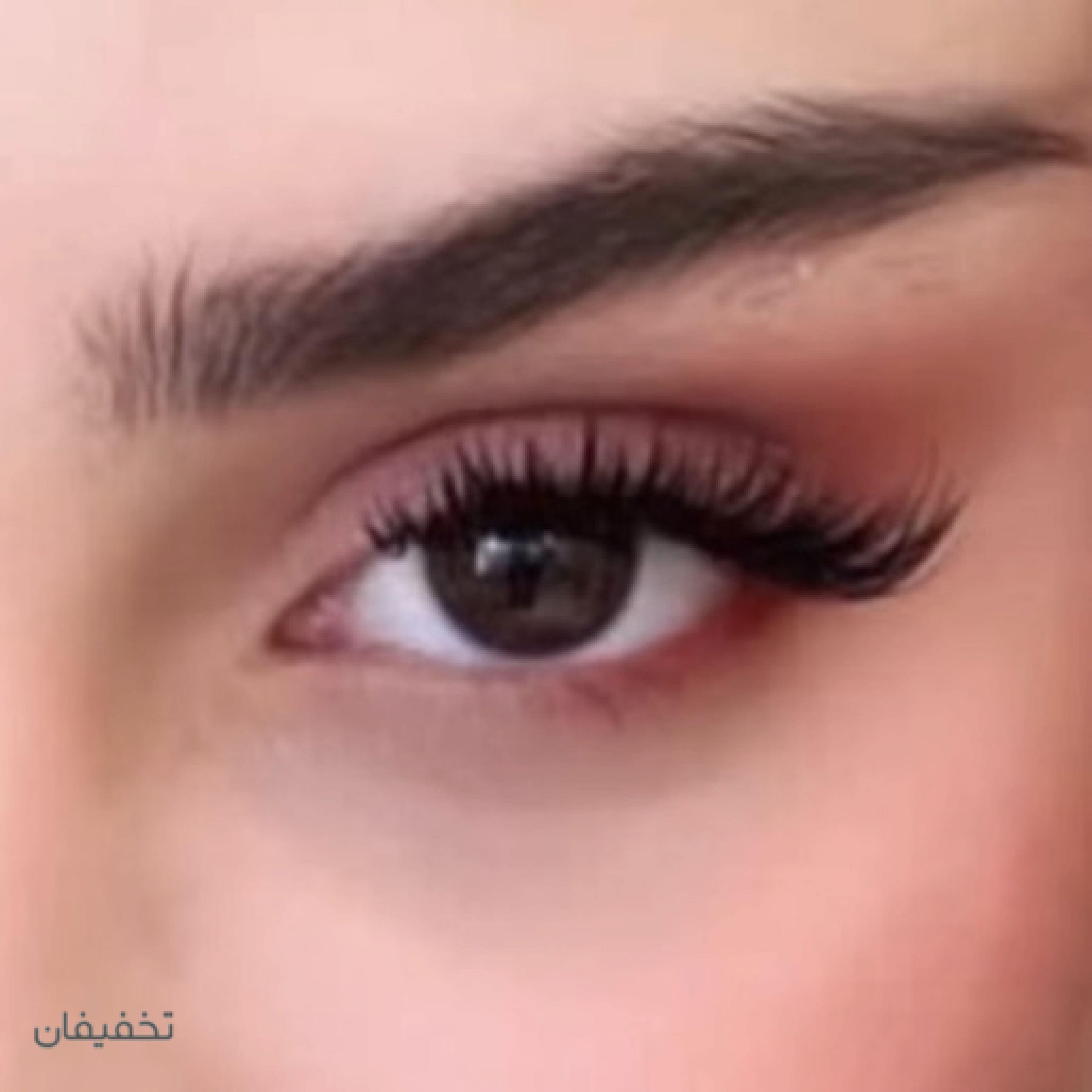 آکادمی مژه سیب