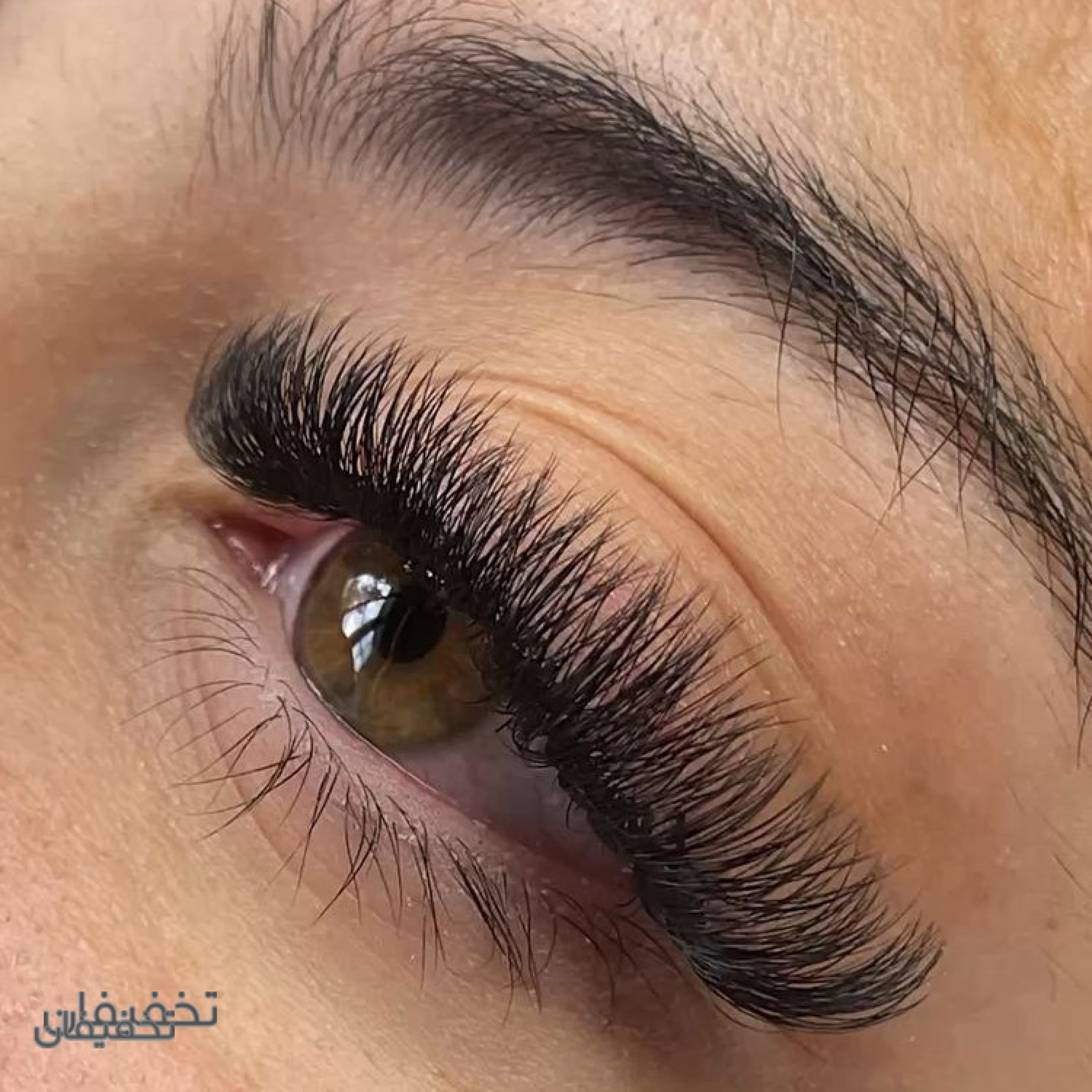آکادمی مژه سیب