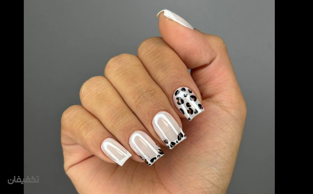 ایلدا
