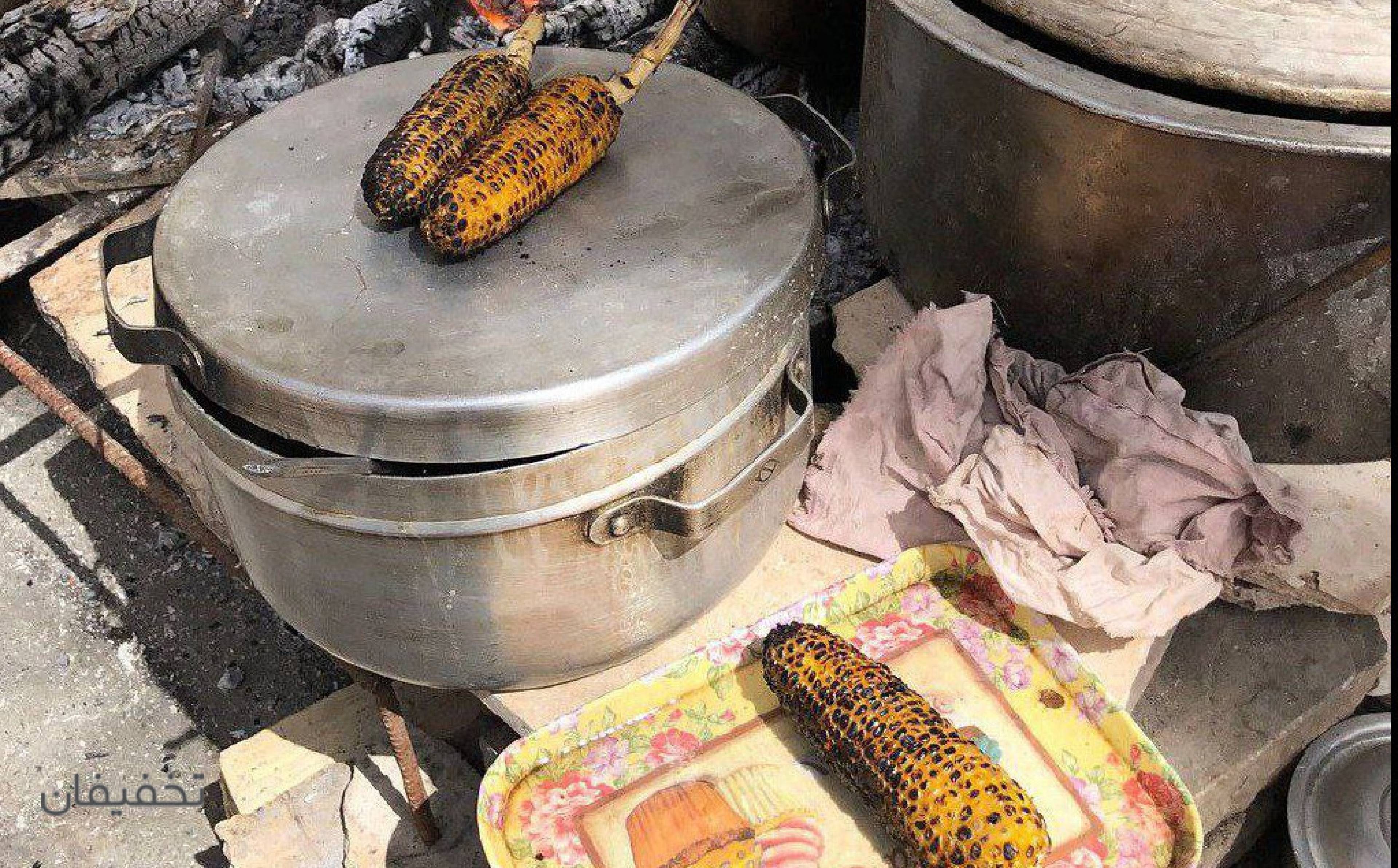 آژانس مسافرتی همدلان