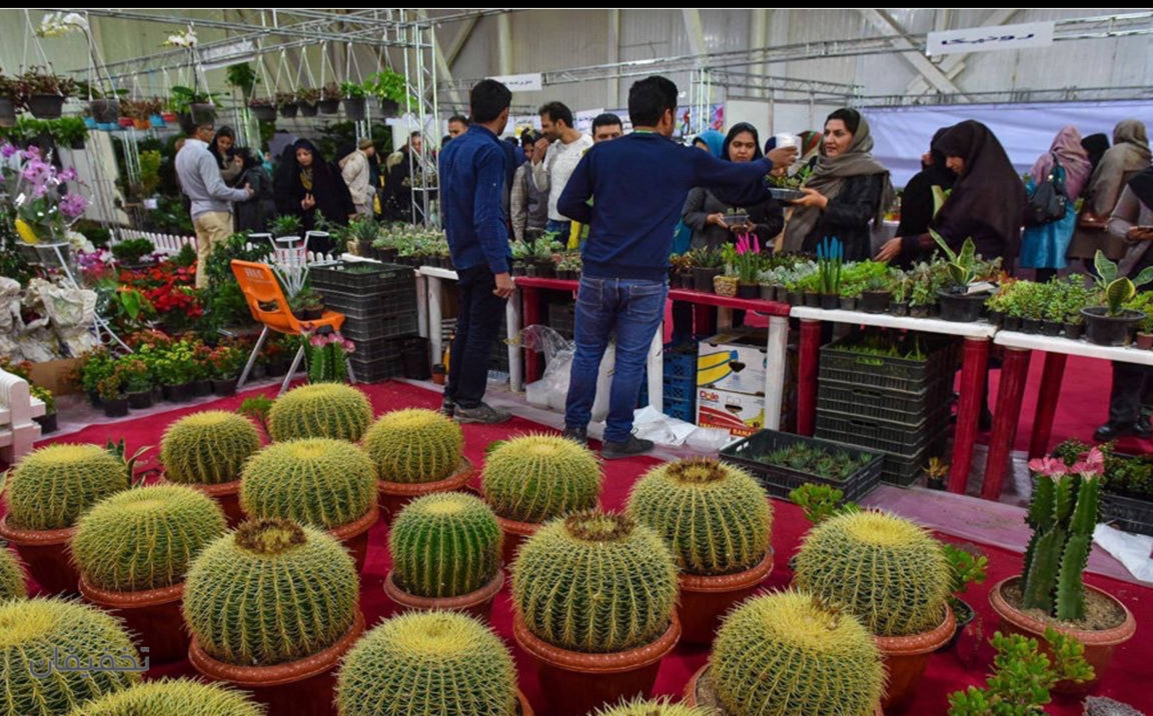 آژانس مسافرتی همدلان