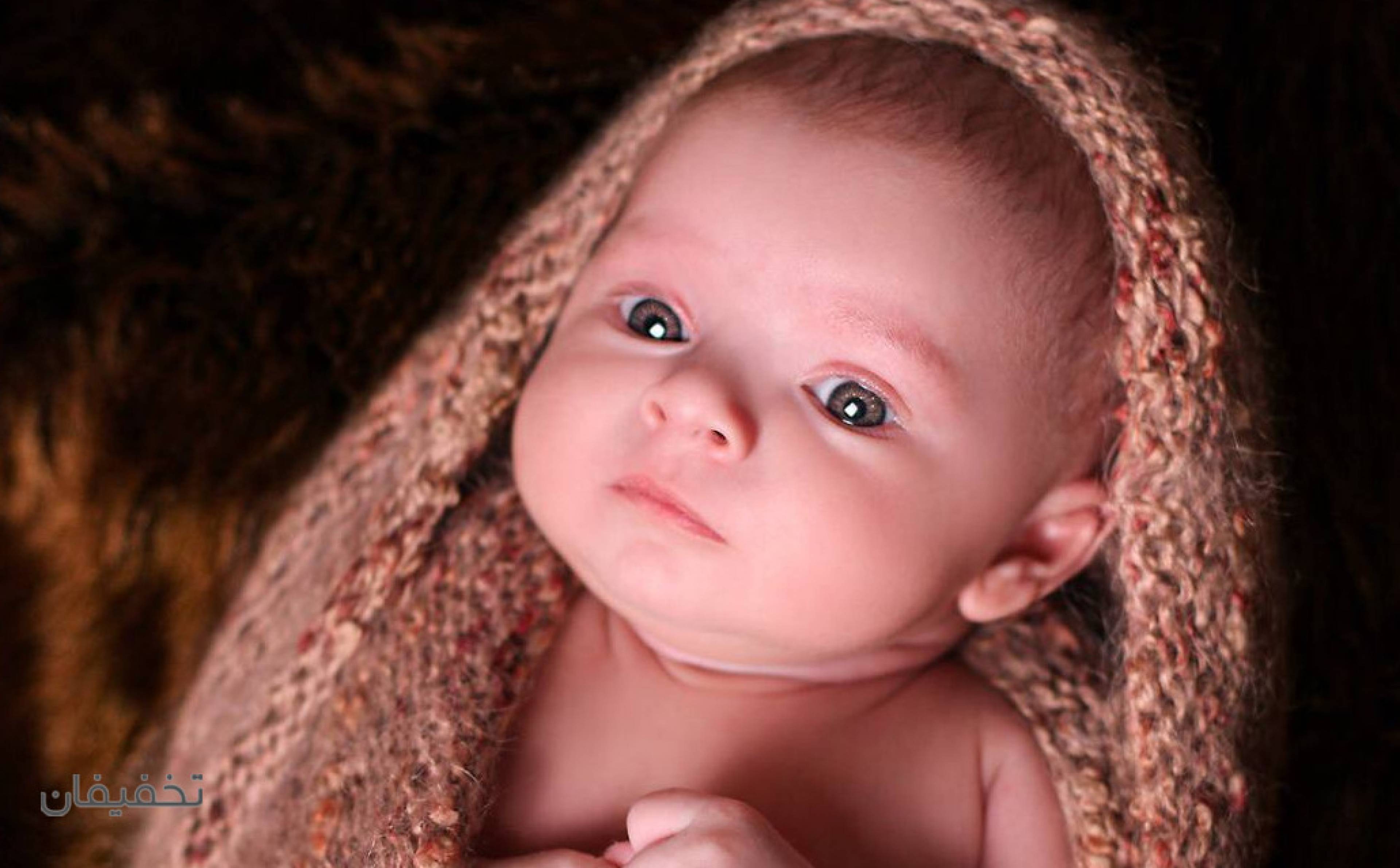 آتلیه ری را
