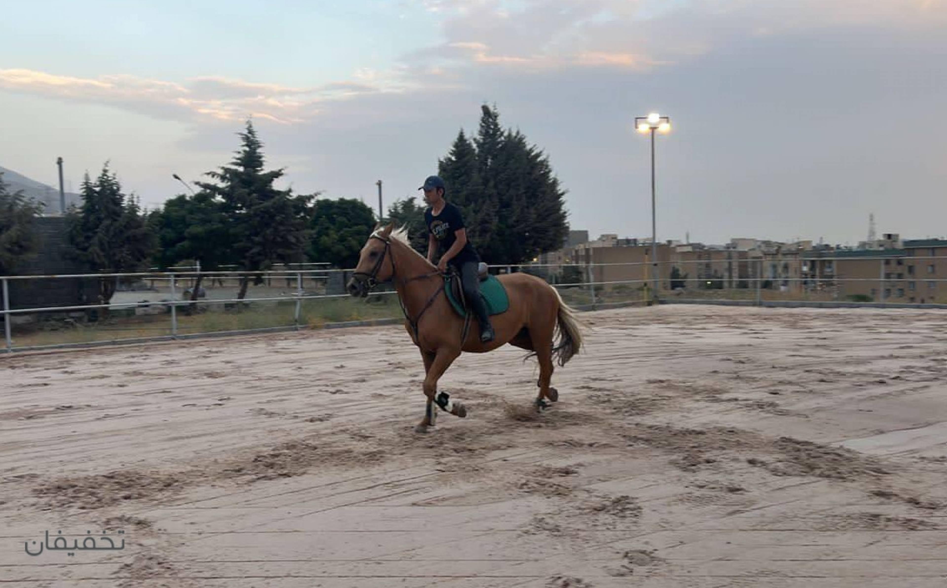 باشگاه سوارکاری شهدای کارگر