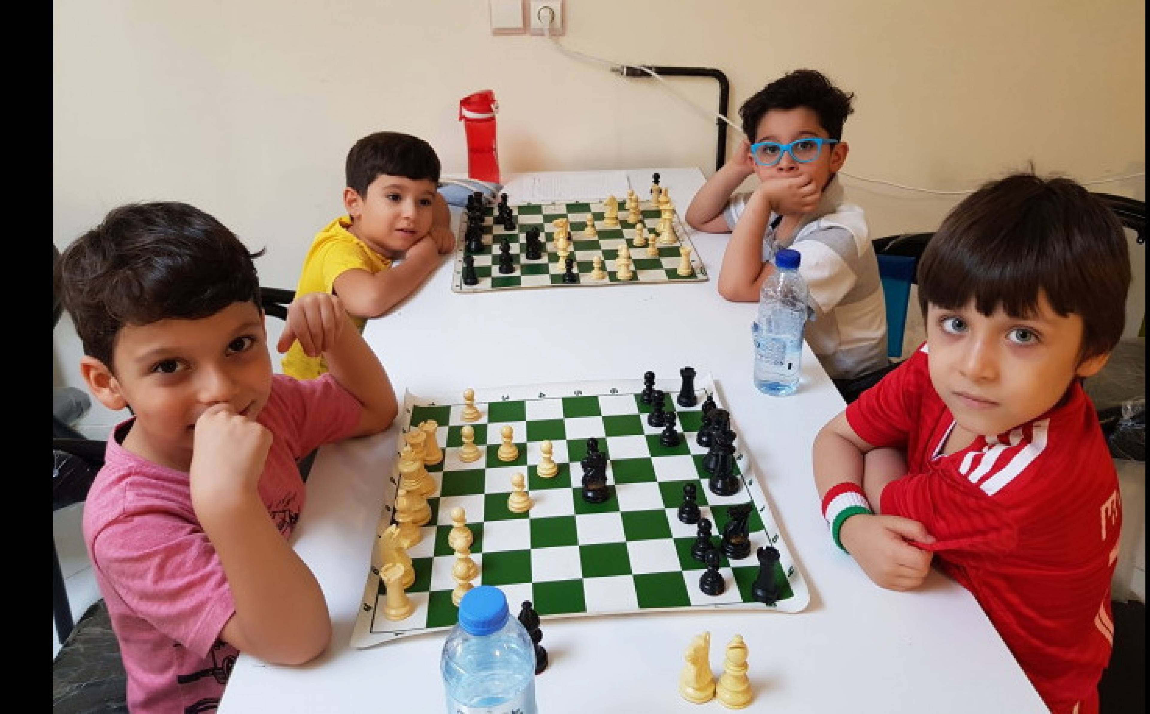 مجموعه تفریحی و آموزشی تخصصی شطرنج Hero Chess
