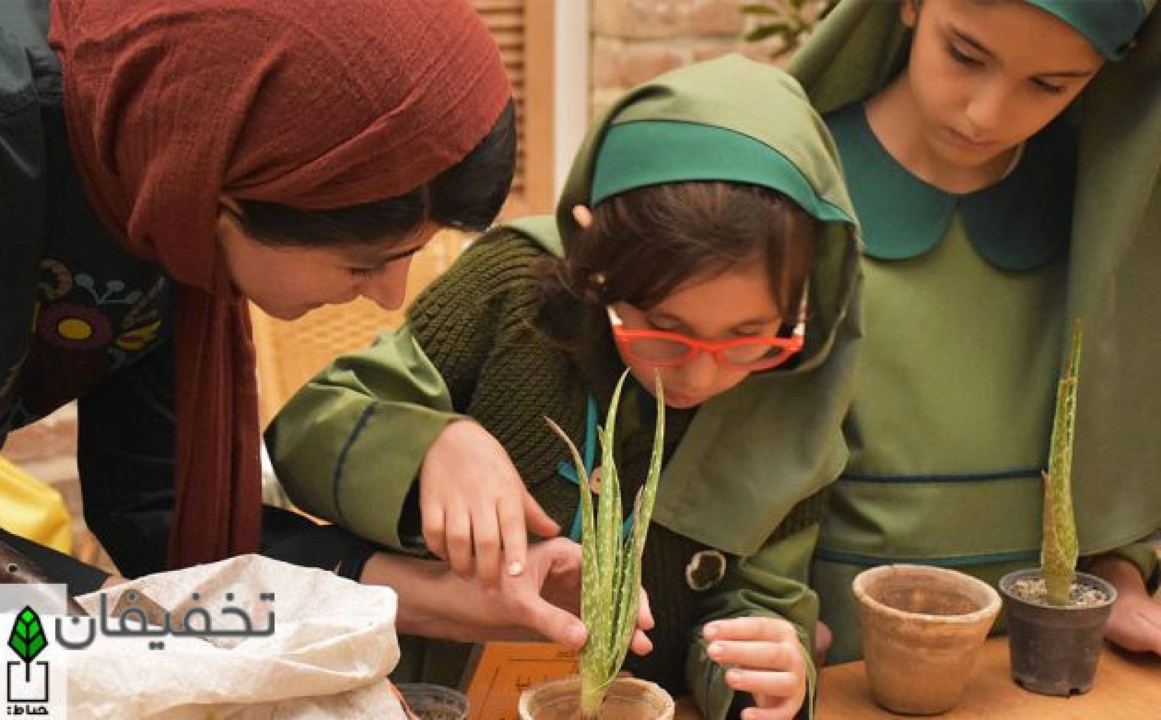 مجموعه حیاط
