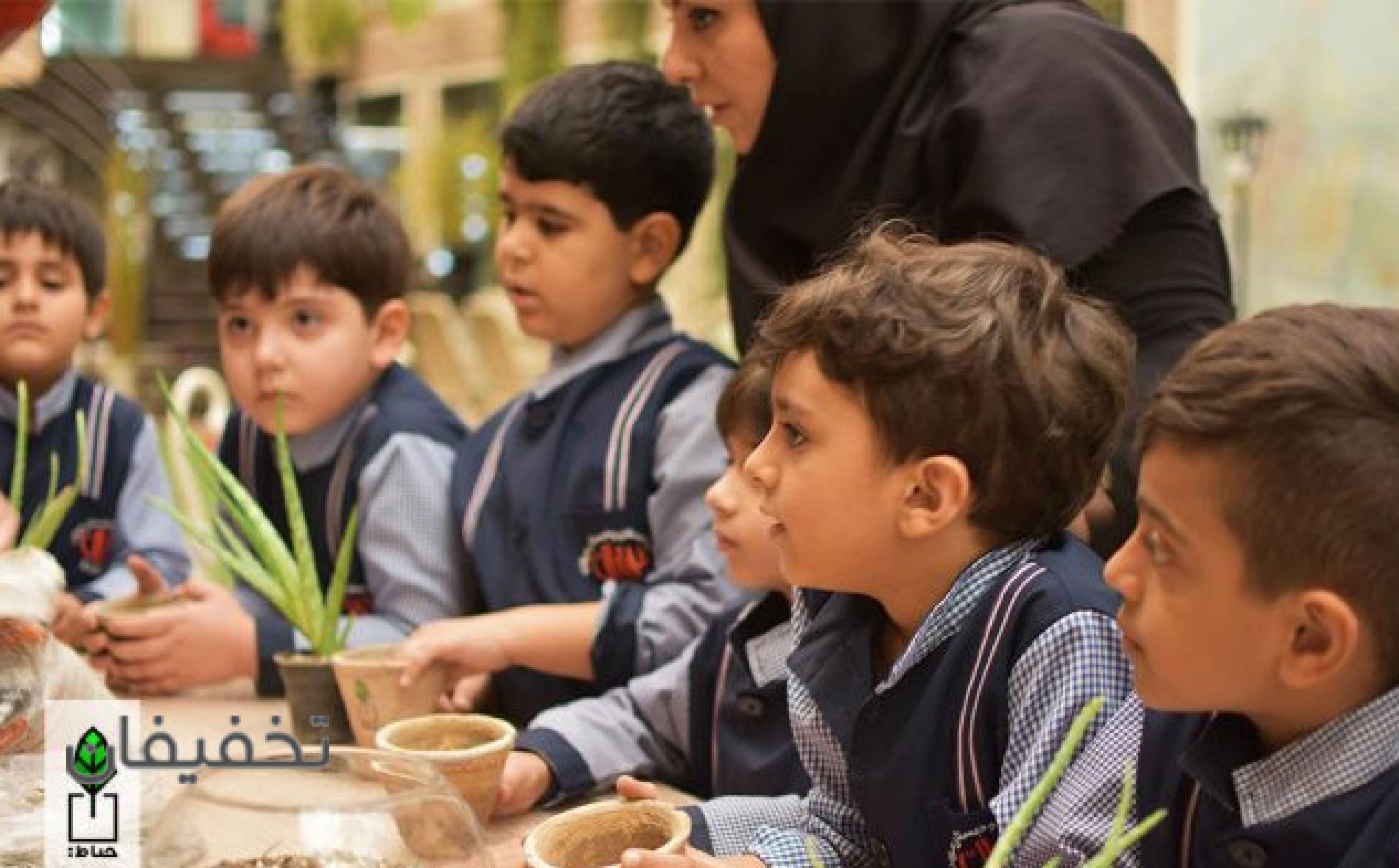 مجموعه حیاط