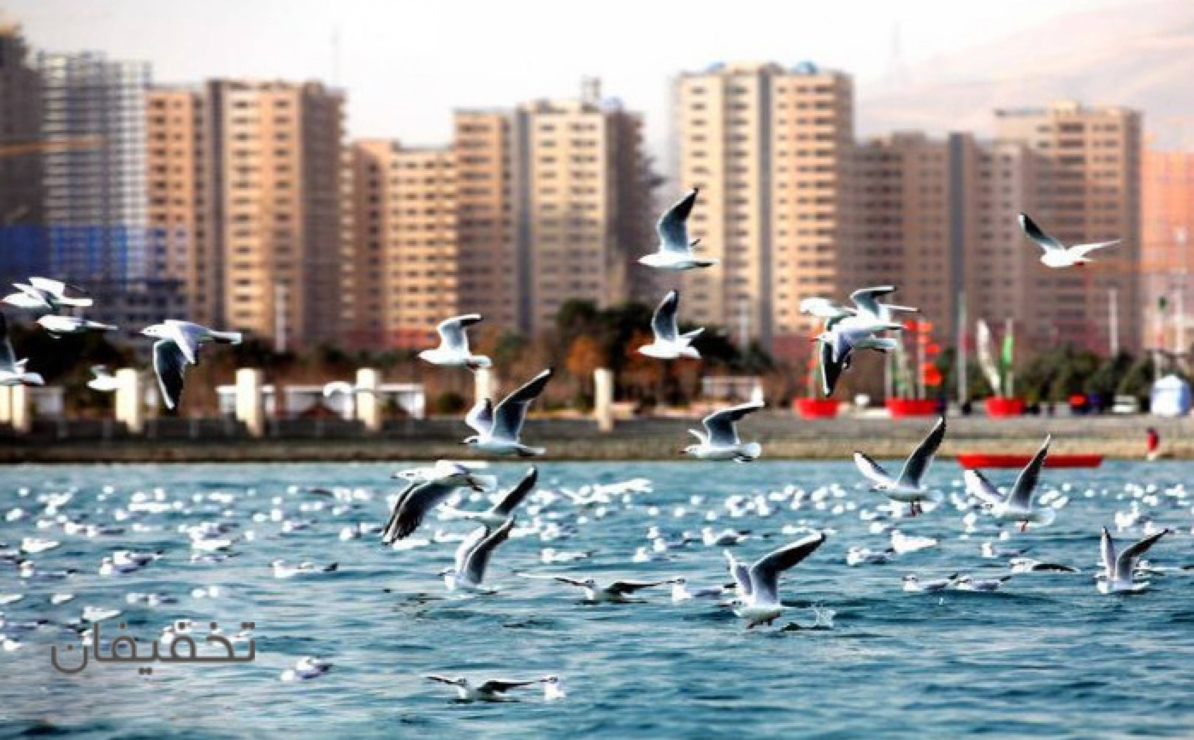 شهربازی دریاچه چیتگر شرق