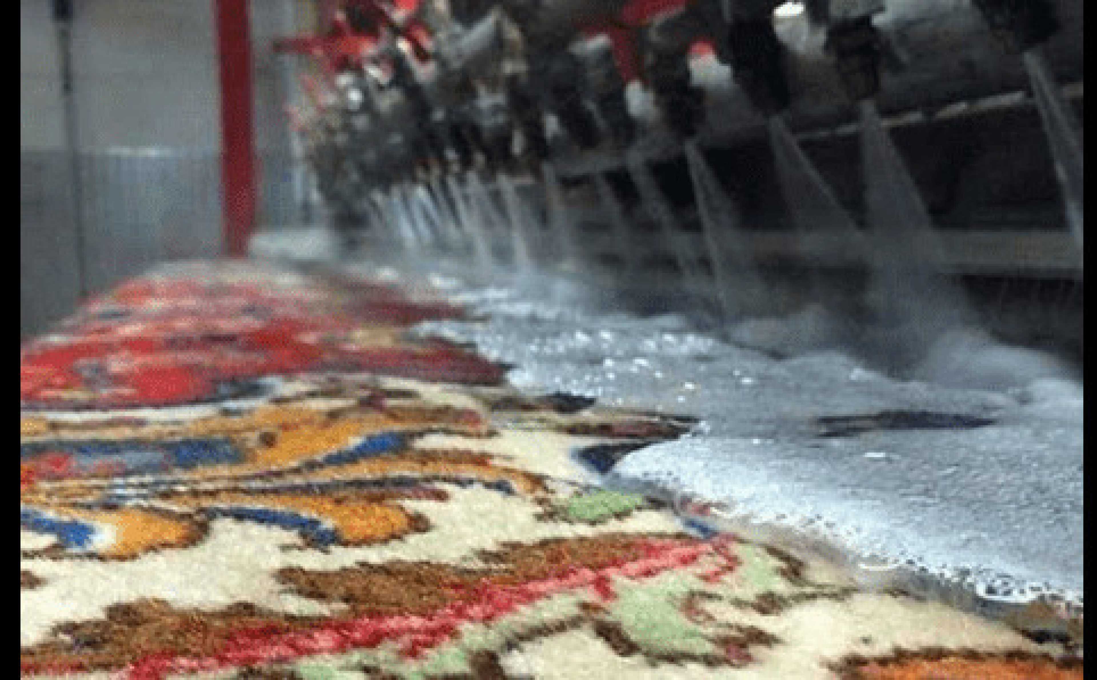 مجموعه قالیشویی پایدار