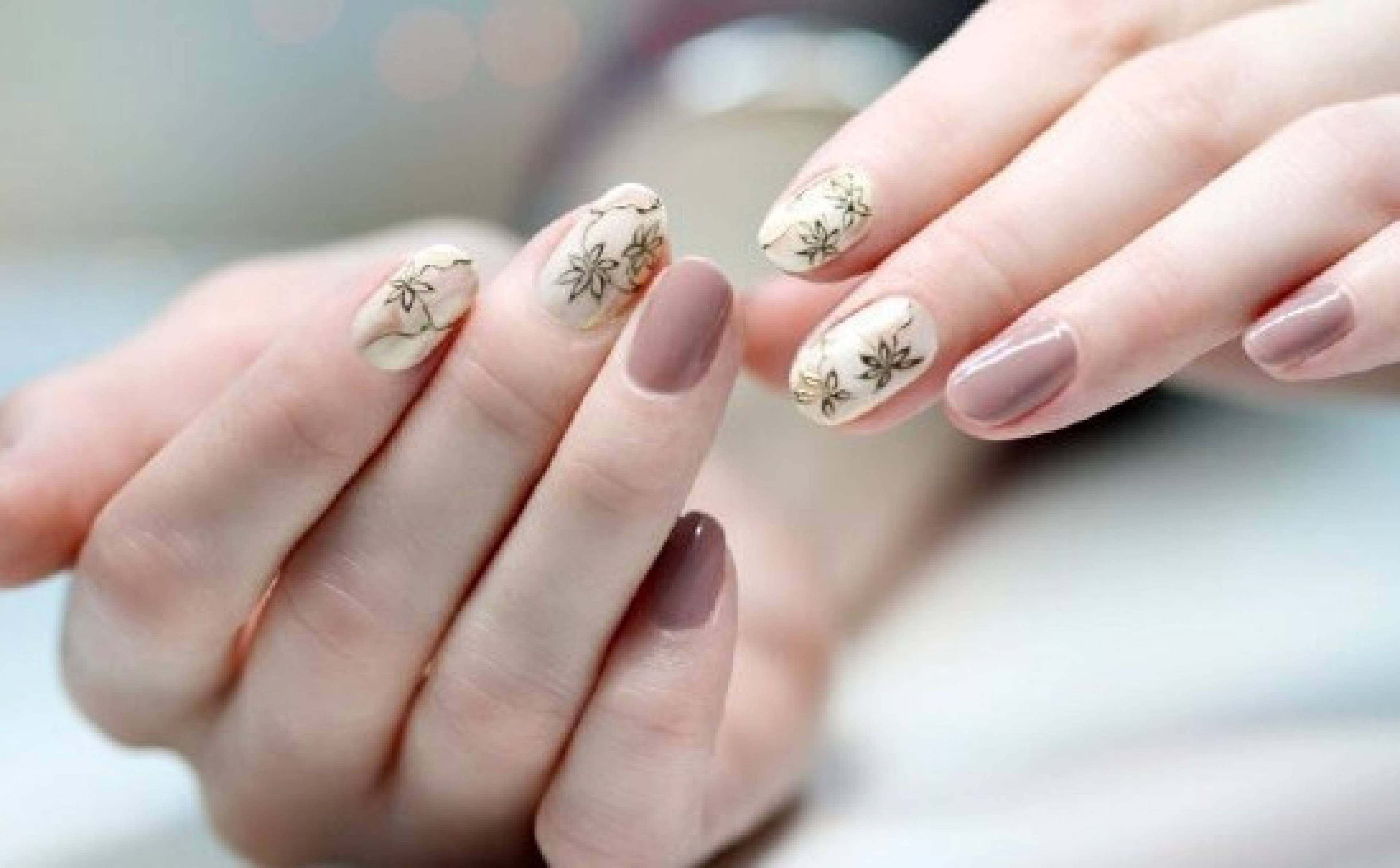 آموزشگاه تخصصی آندیا