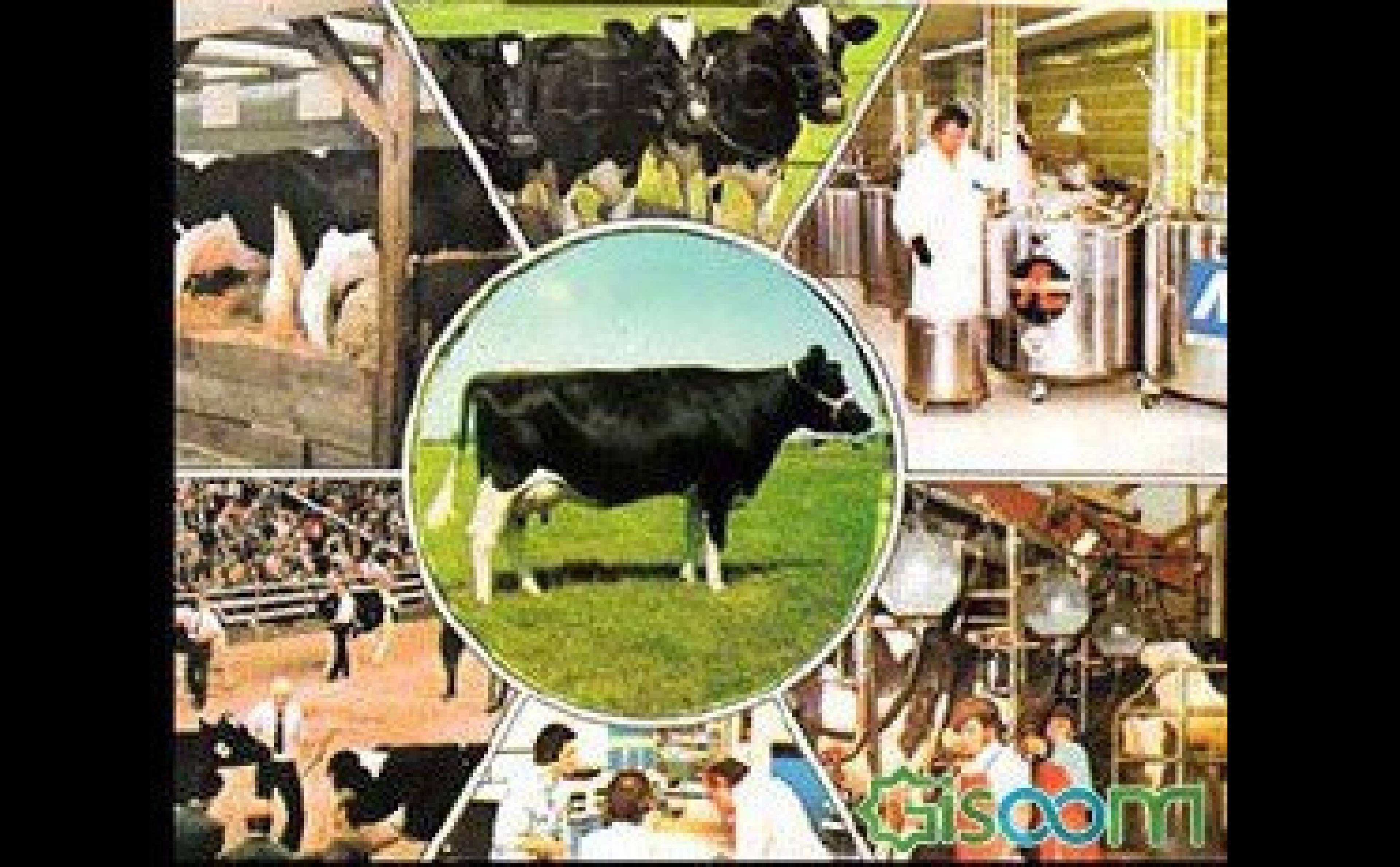 مرکز علوم و فنون آتی نگر