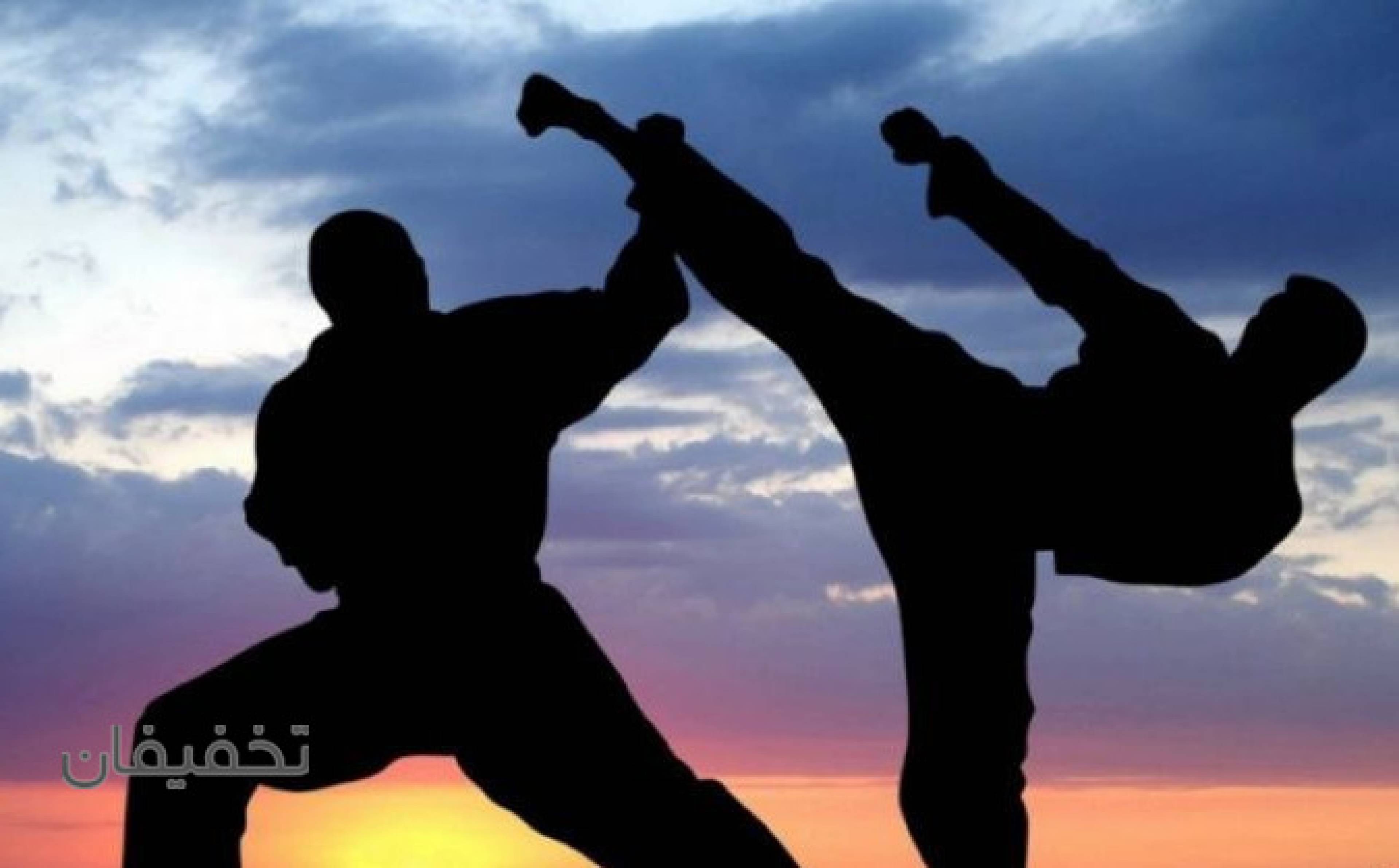 باشگاه رزمی آی کی دو طلاییه