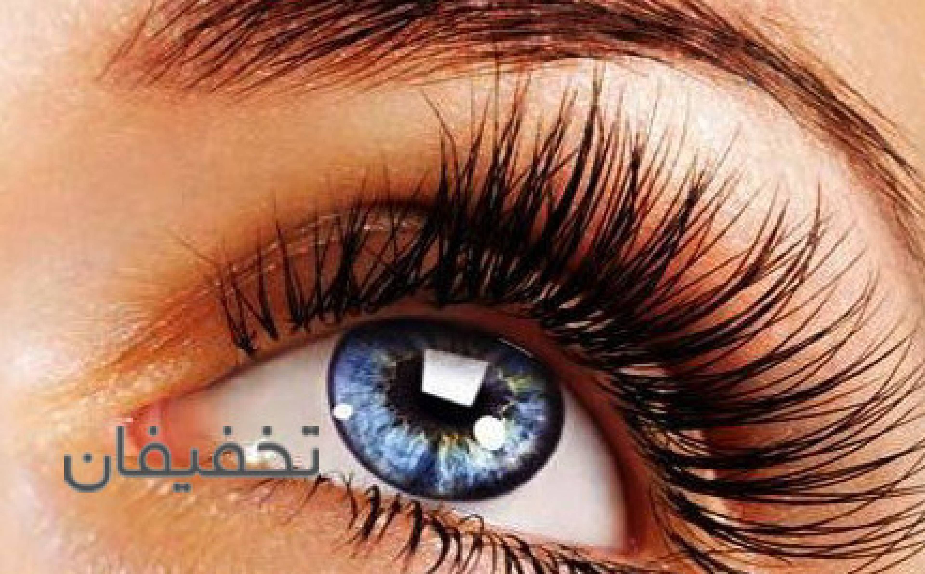 زیباکده