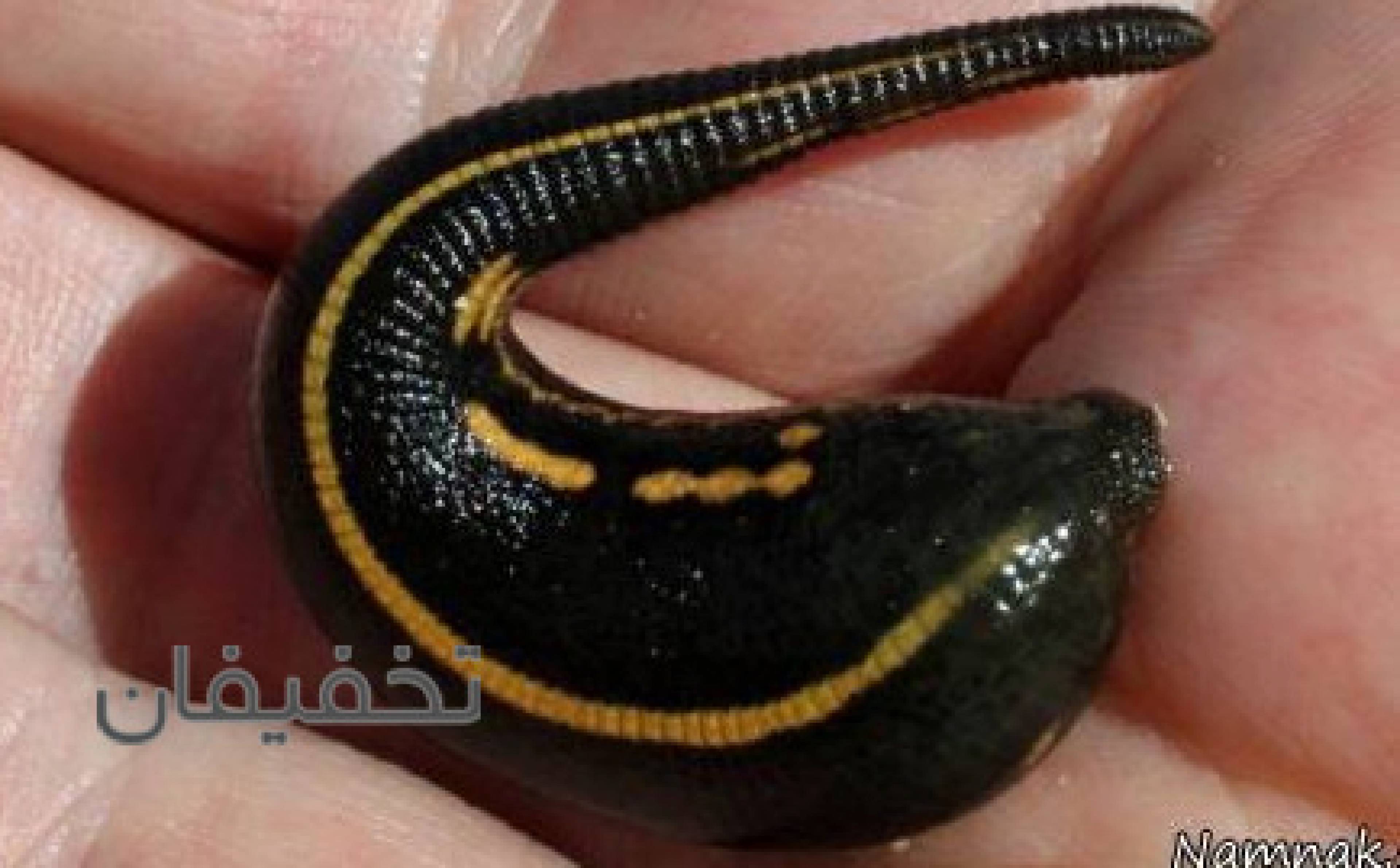 مرکز علیسان طب