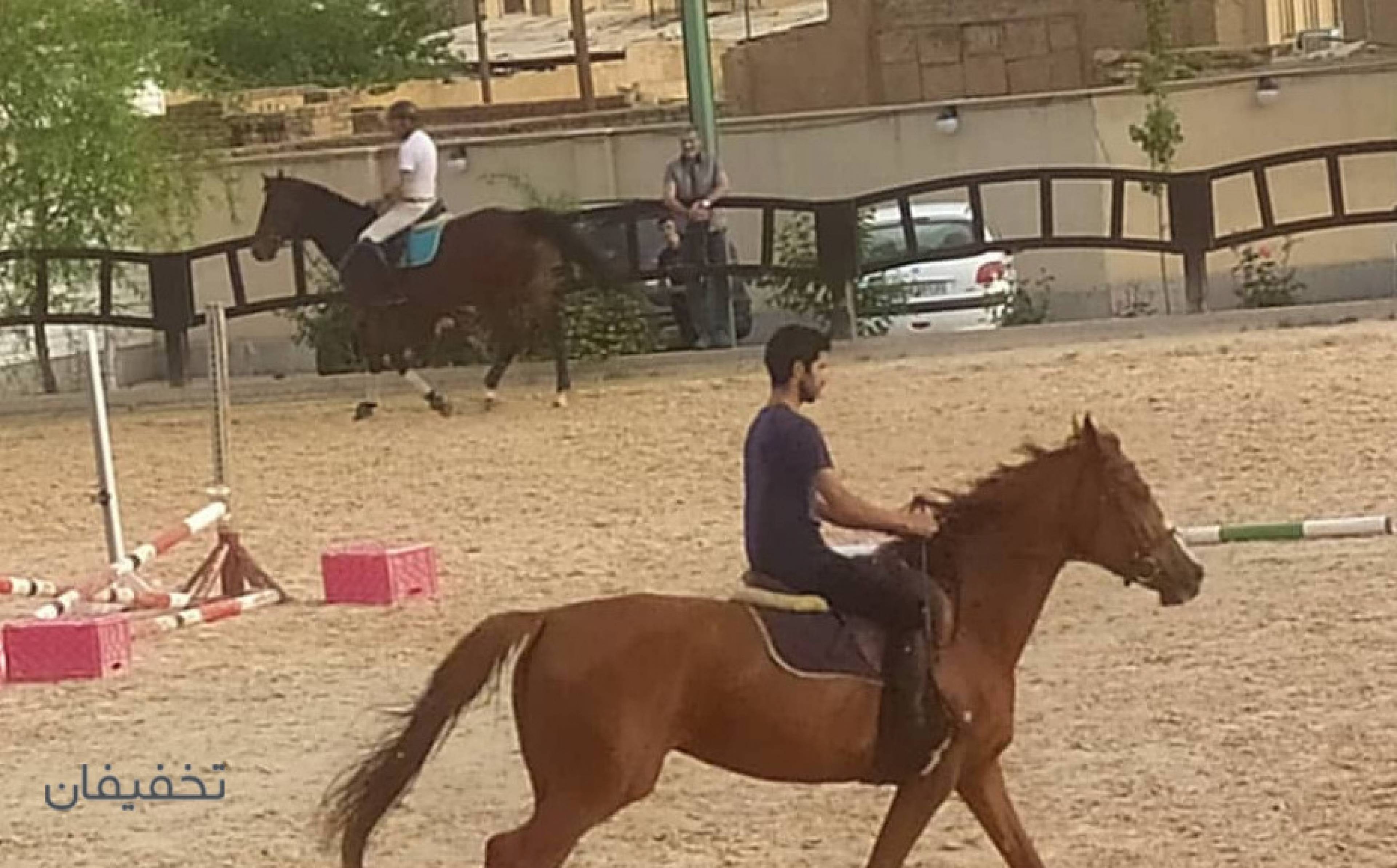 باشگاه سوارکاری غزالی