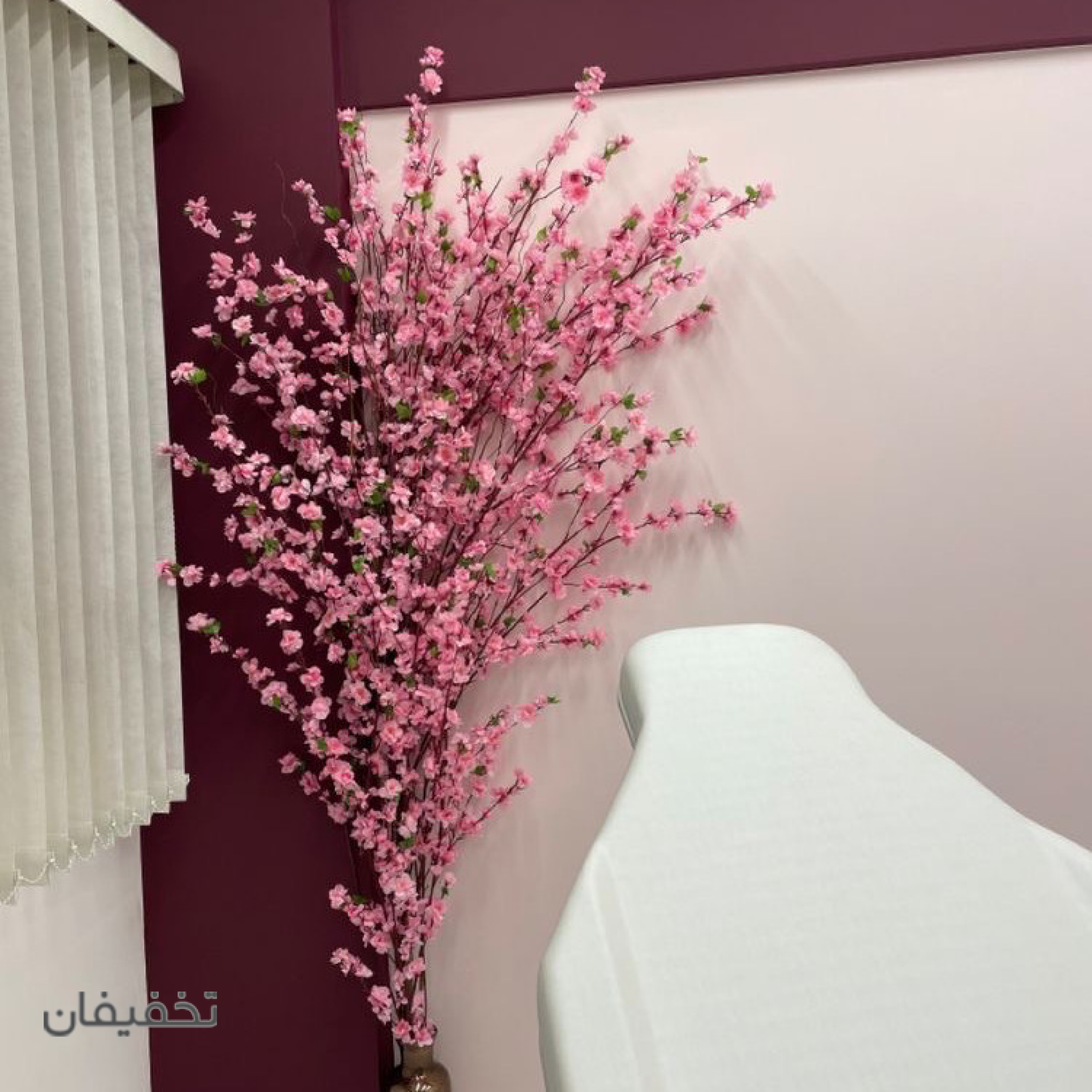 لیزر درنیکا(شعبه عبدل آباد)