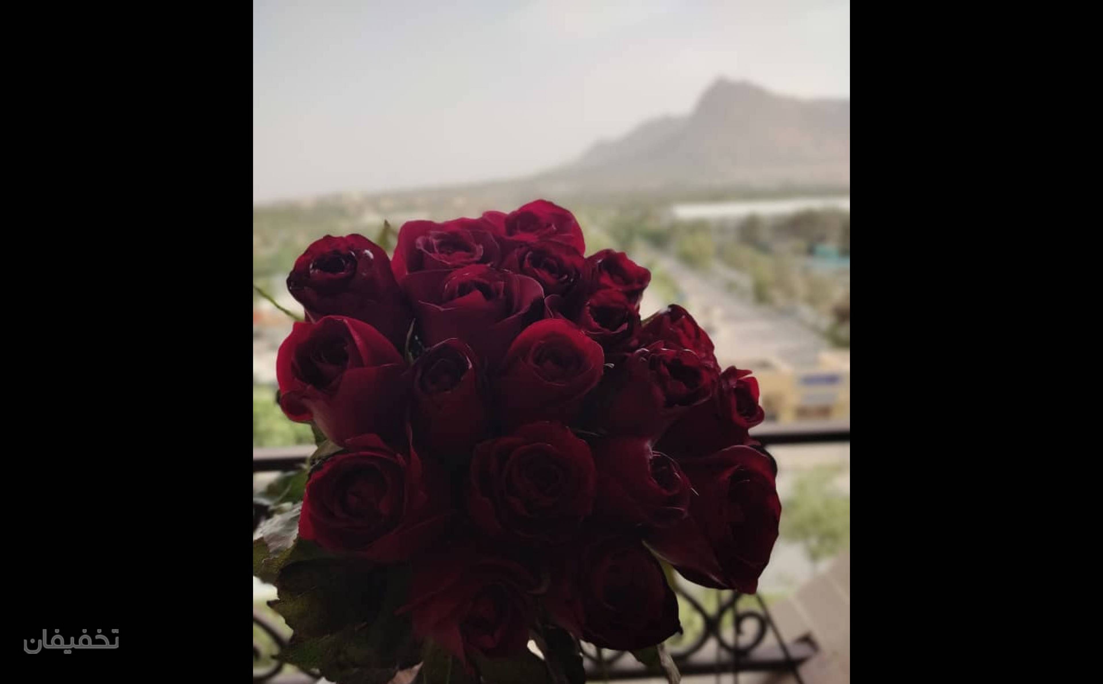 سالن زیبایی پیوند