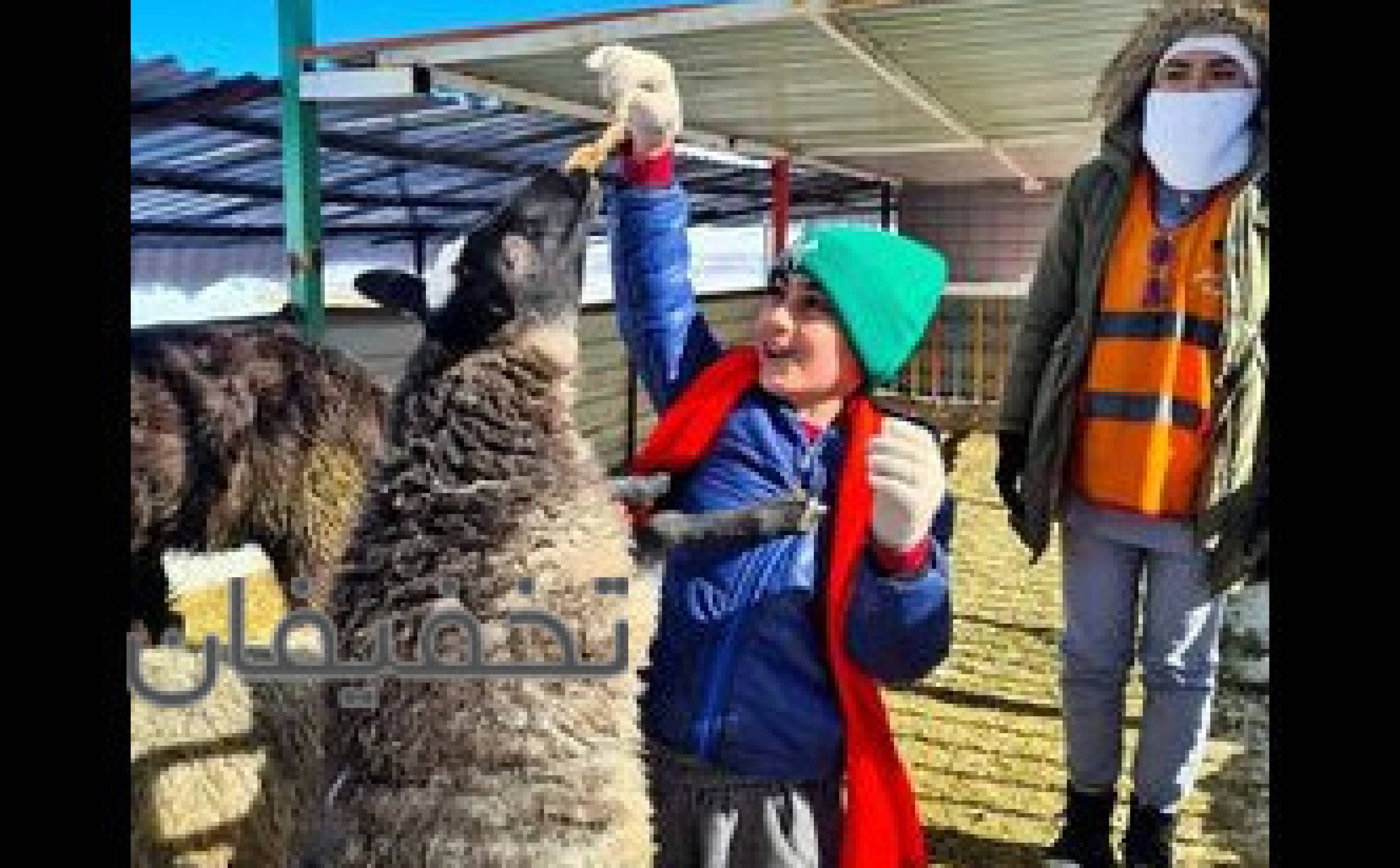 مزرعه گردشگردی خورشید