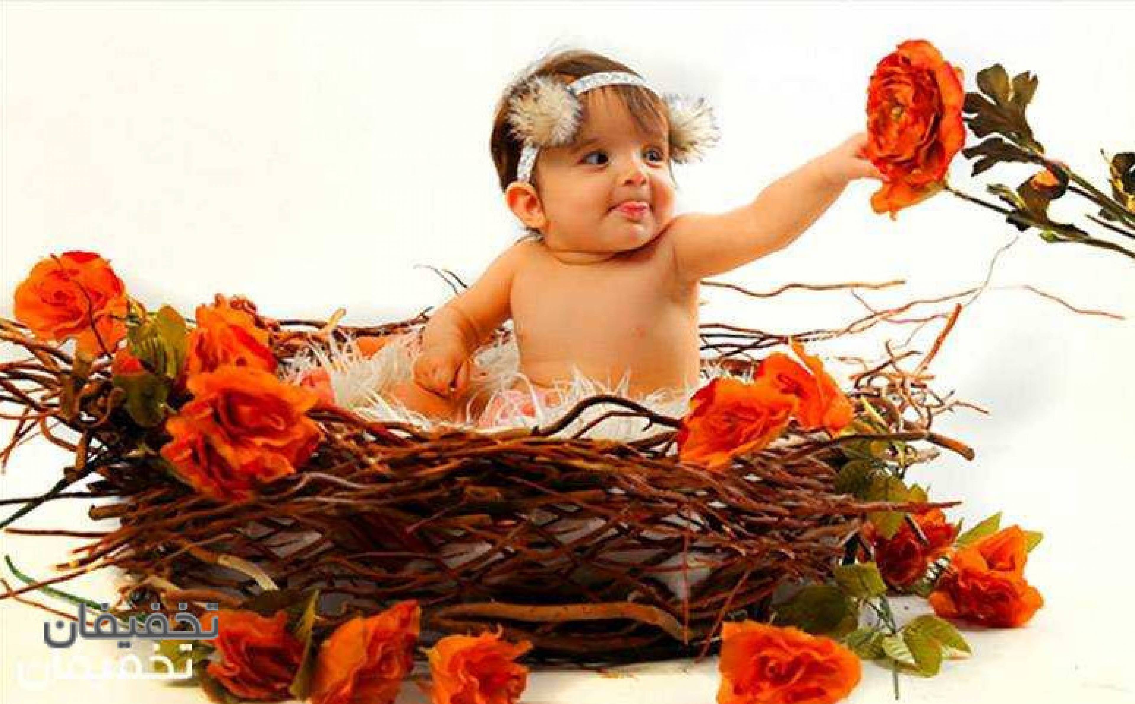 آتلیه اریکه