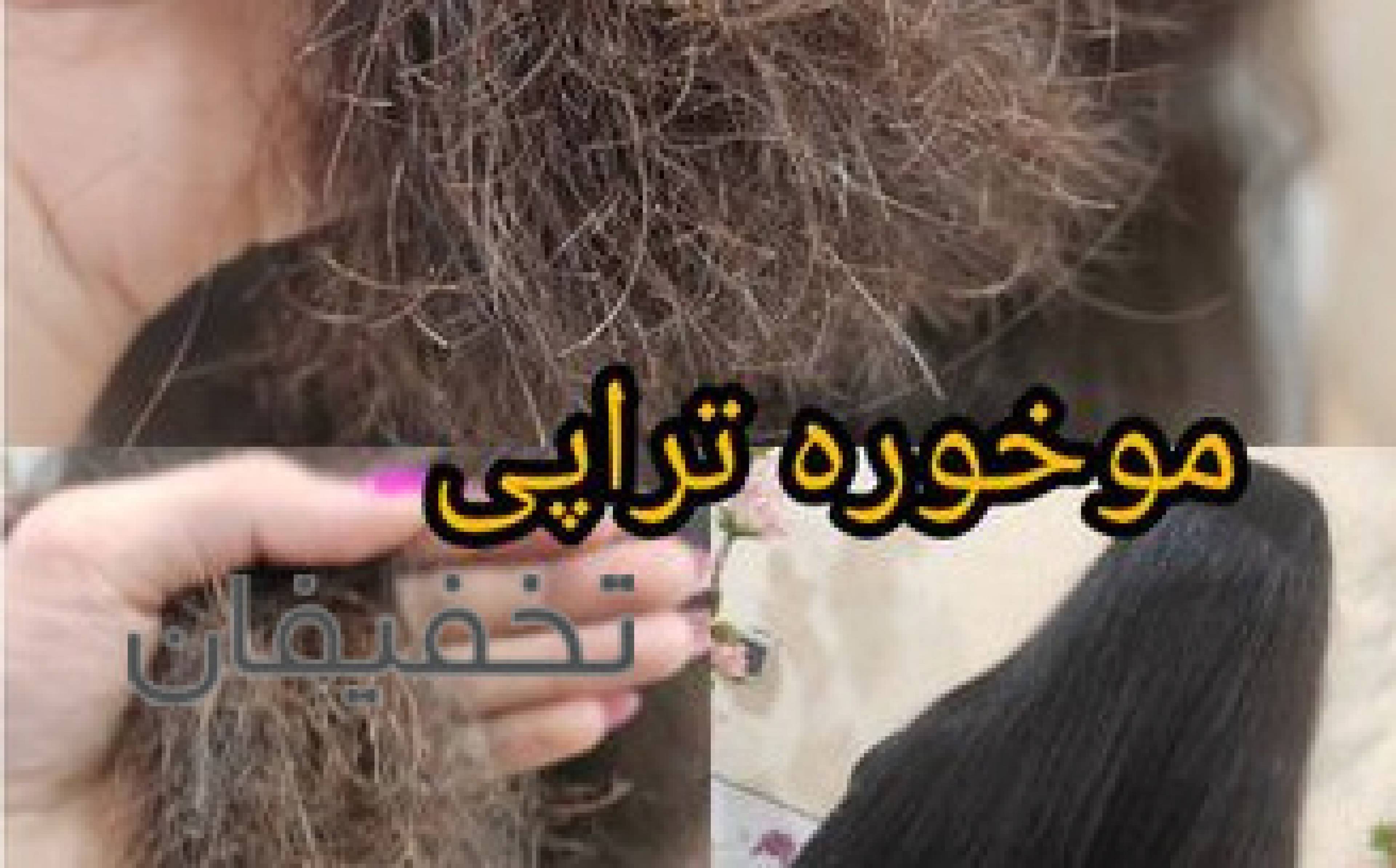فشیال  ثمین