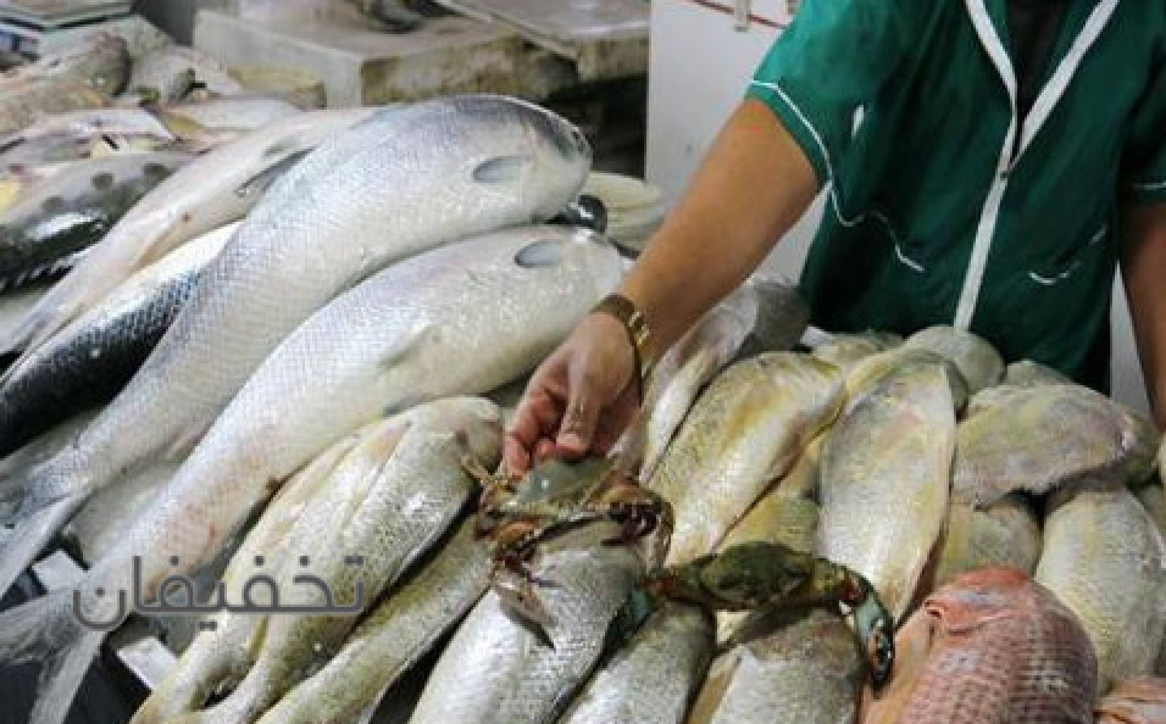 مرغ و ماهي کوثر