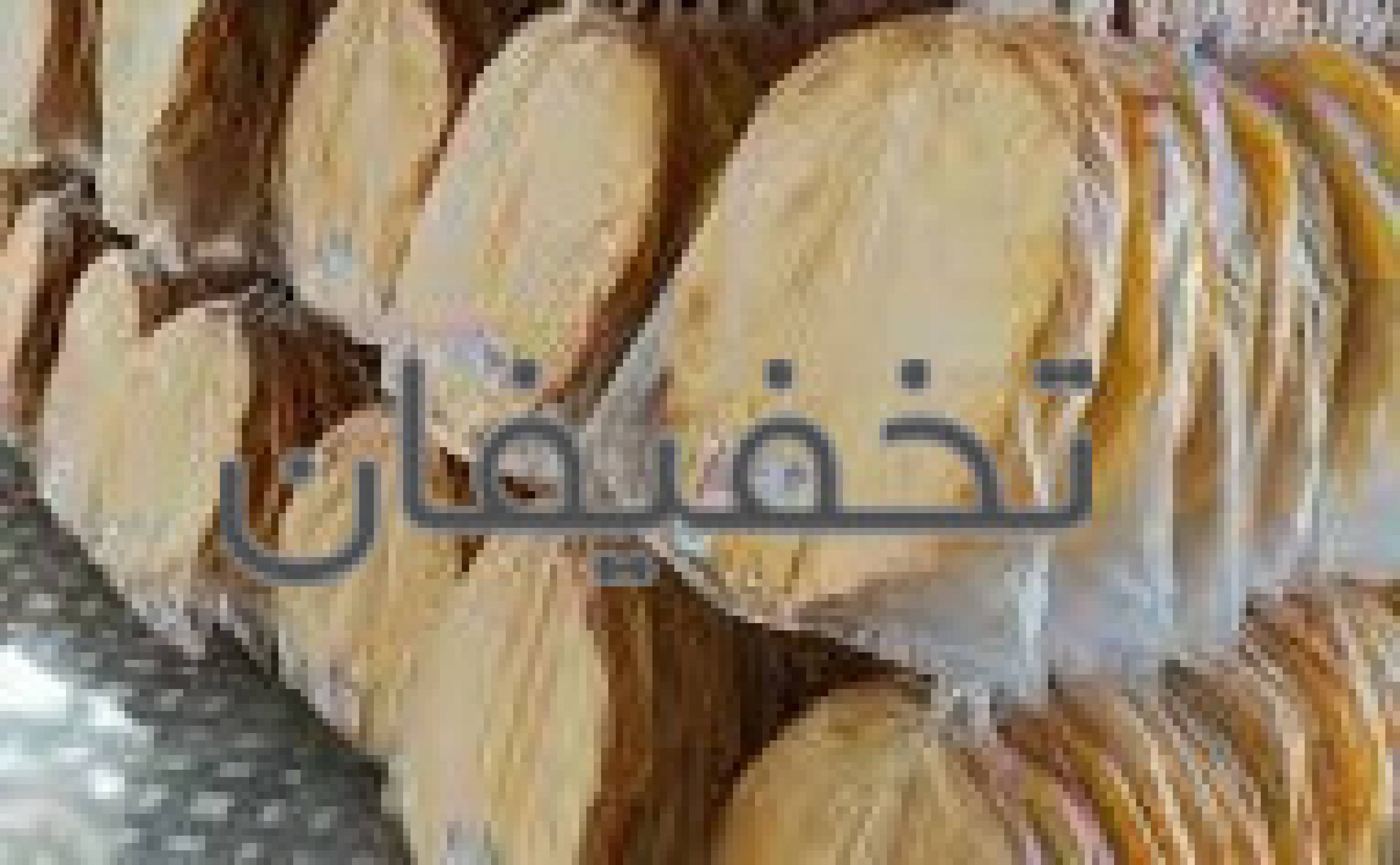 خشکه پزي مهدي