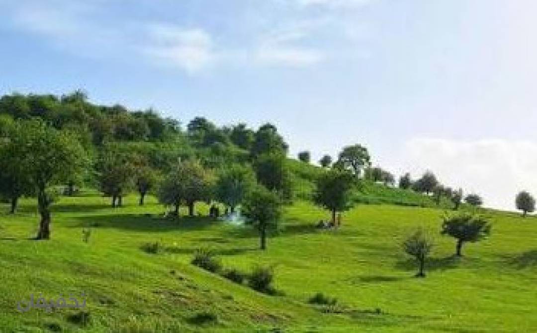 تور یکروزه فیلبند و دشت سنگچال با آژانس بامداد پرواز