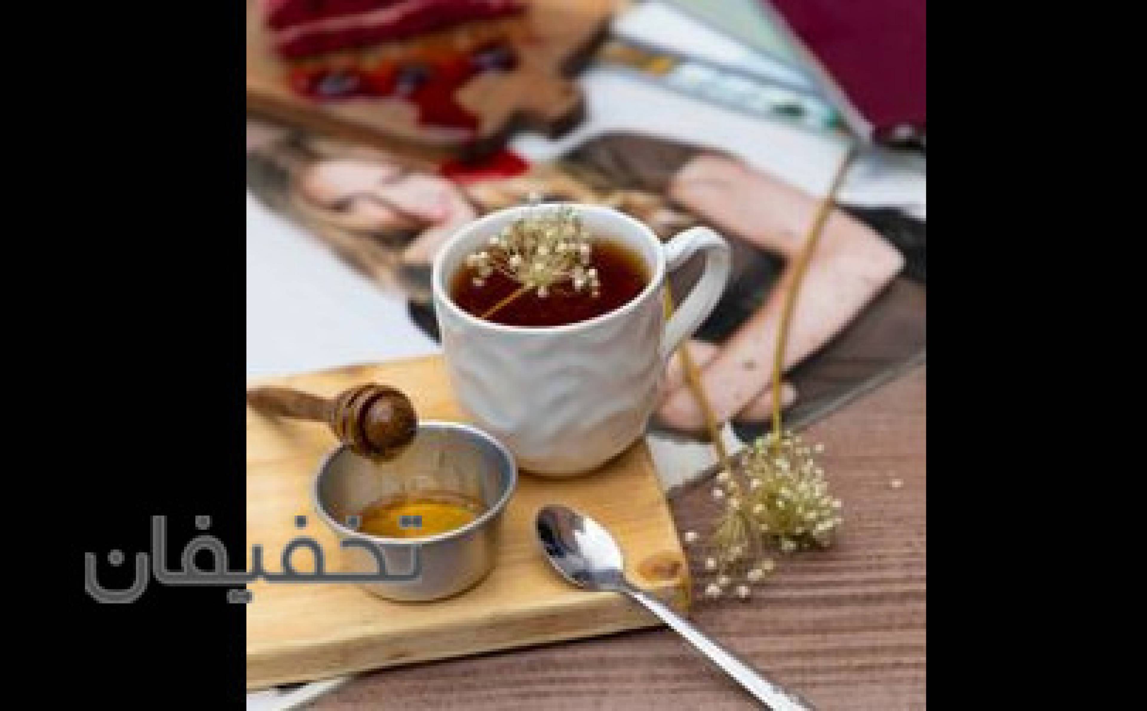 رویا شو استودیو 