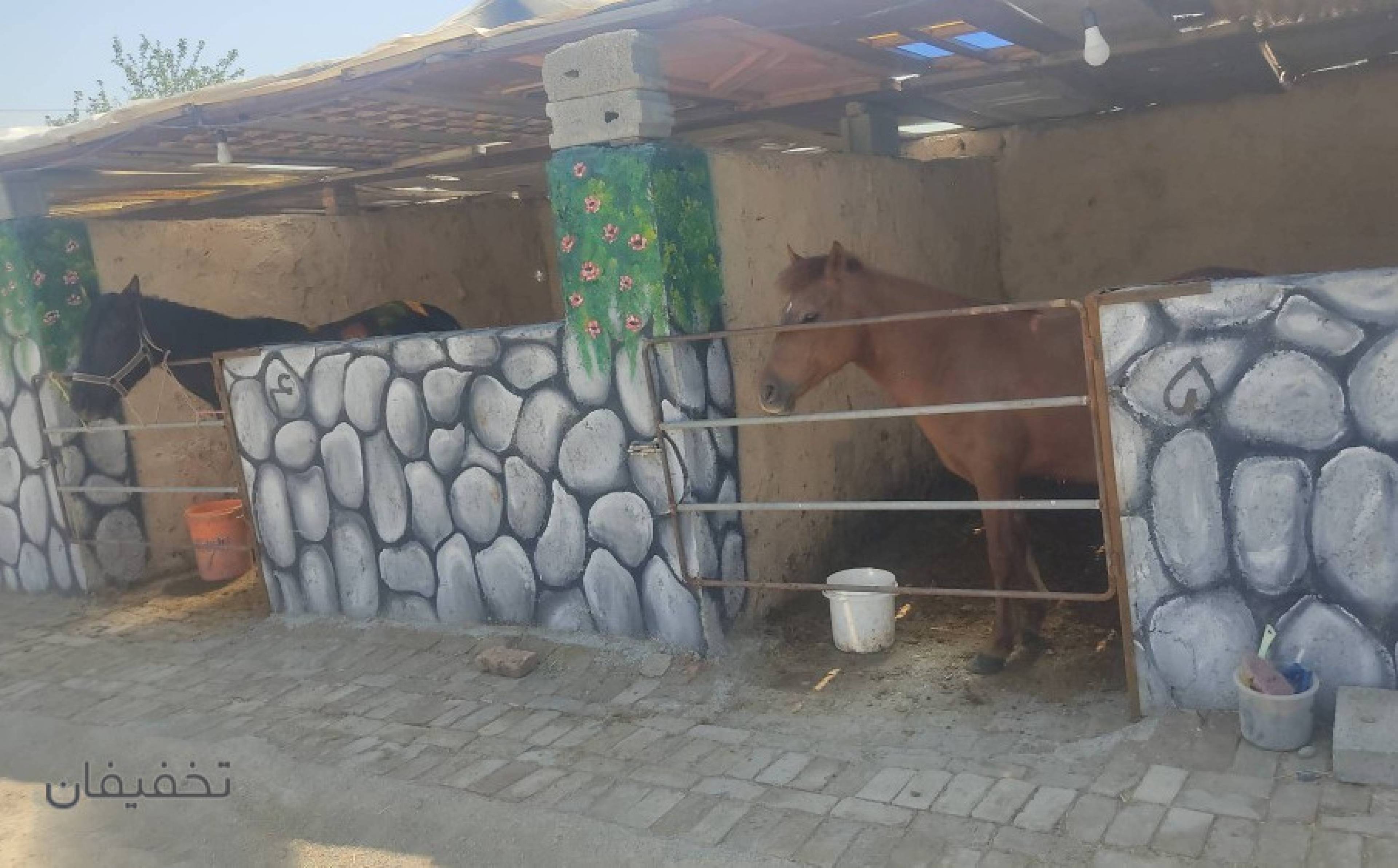 باشگاه سوارکاری راگا