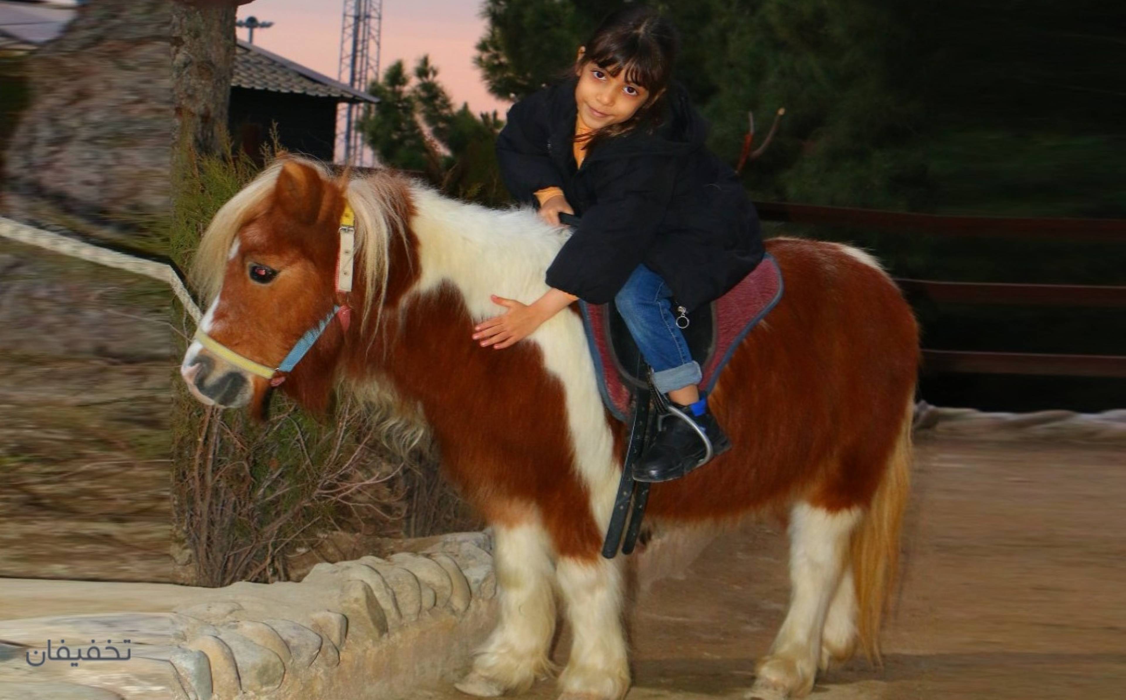باشگاه سوارکاری راگا