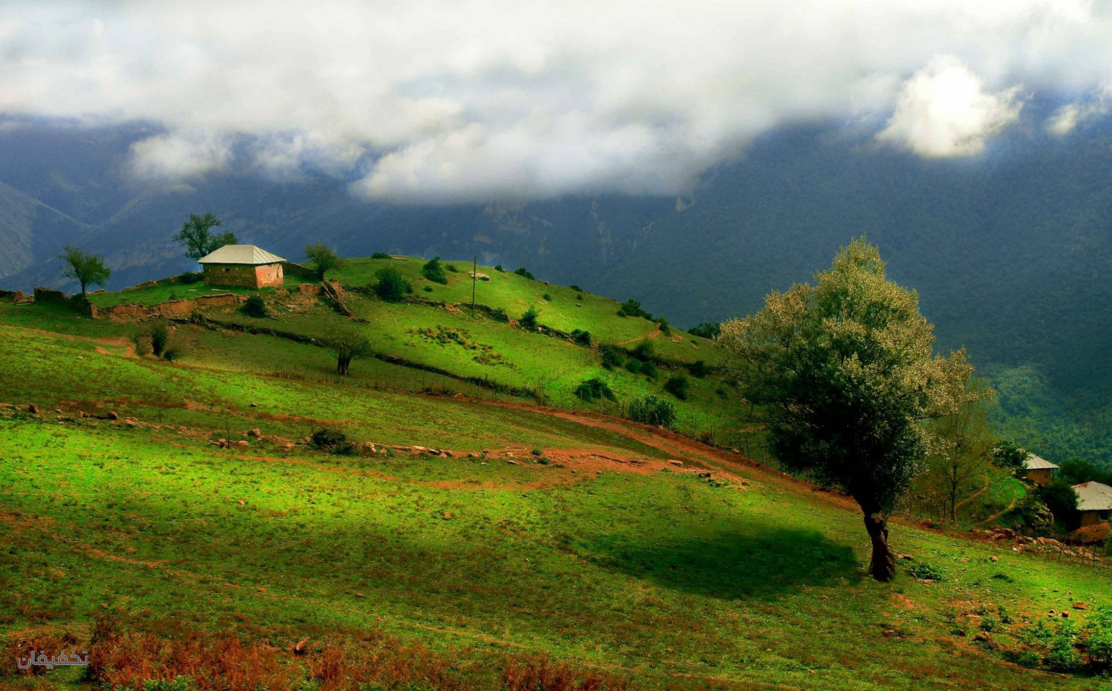 شمال گردی ترمه و ترنج ایرانیان